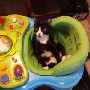 Meet your Posher, Terri